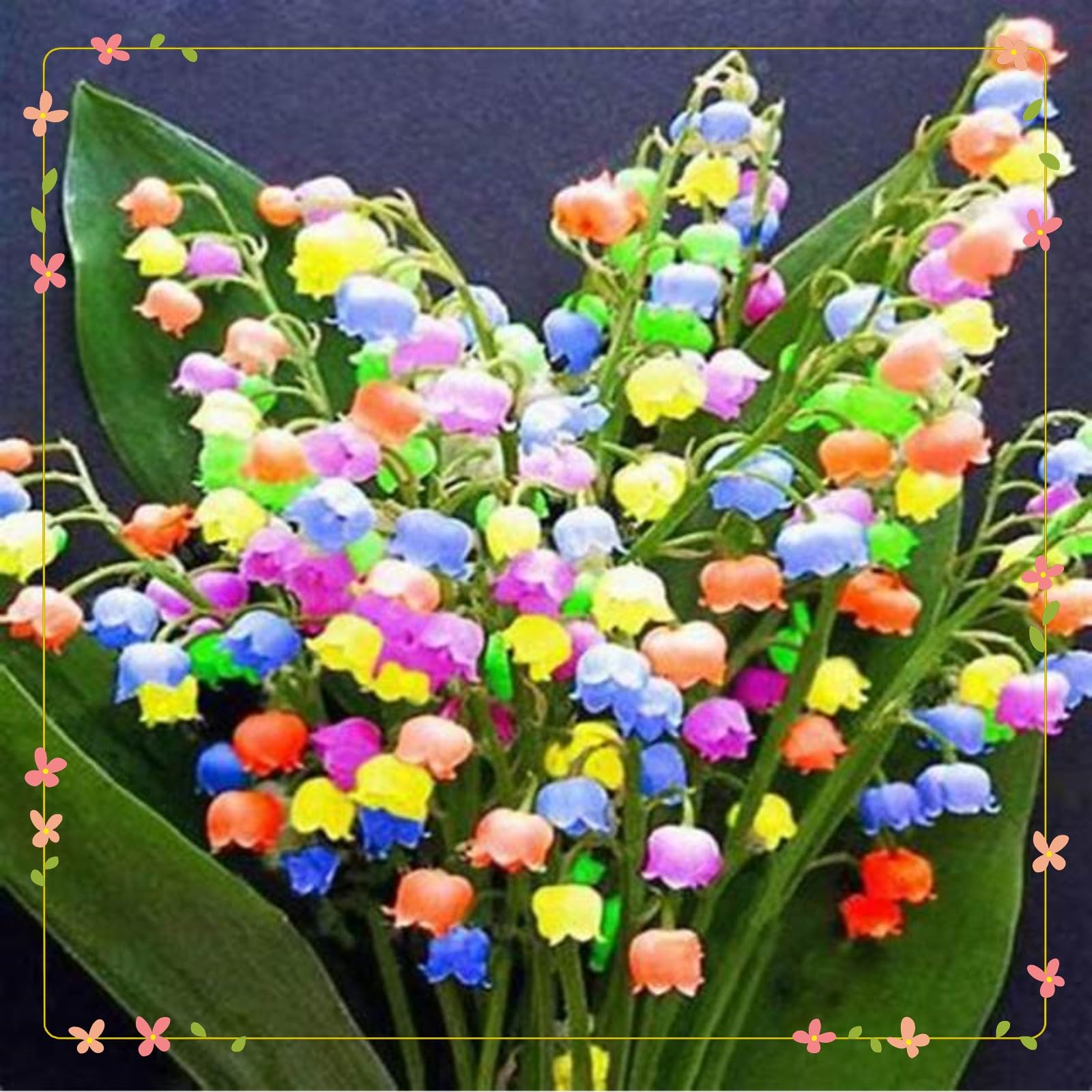 Lily of The Valley Bulbs Mix for Planting Now UK/Cut Flowers/Greening Flower/Strong Plants That Grow Well/Good for Containers/Natural Organic/Wedding Flowers.-10Bulbs-F