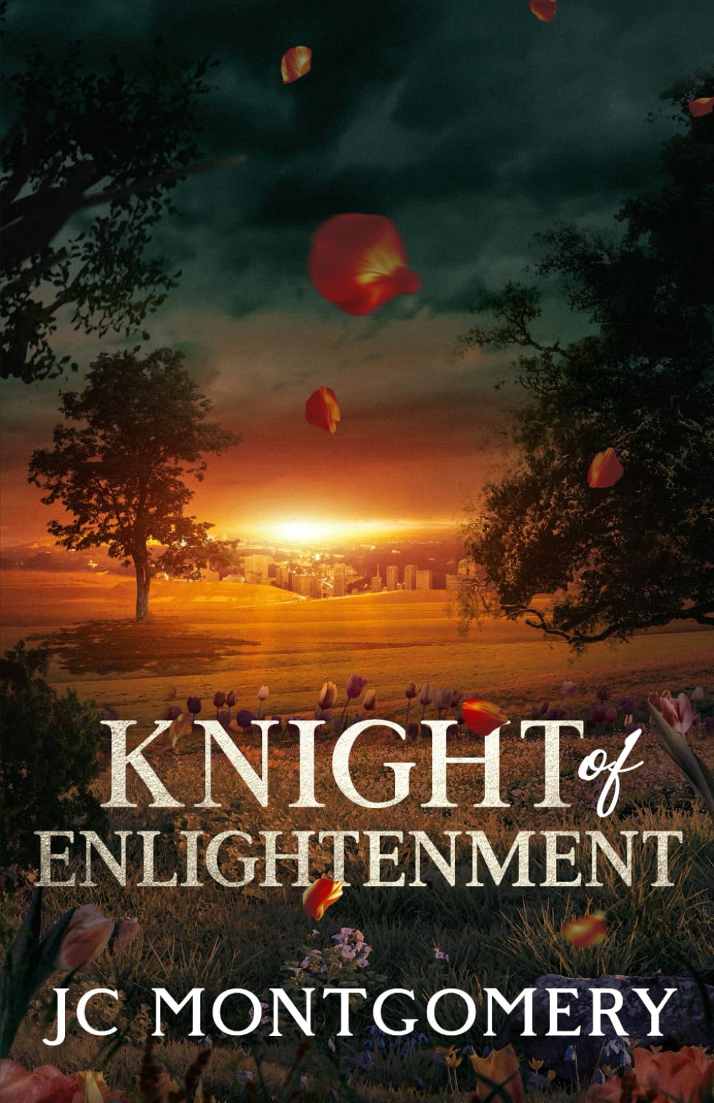 Knight of Enlightenment (Knight Series, Book 1): A passionate love story
