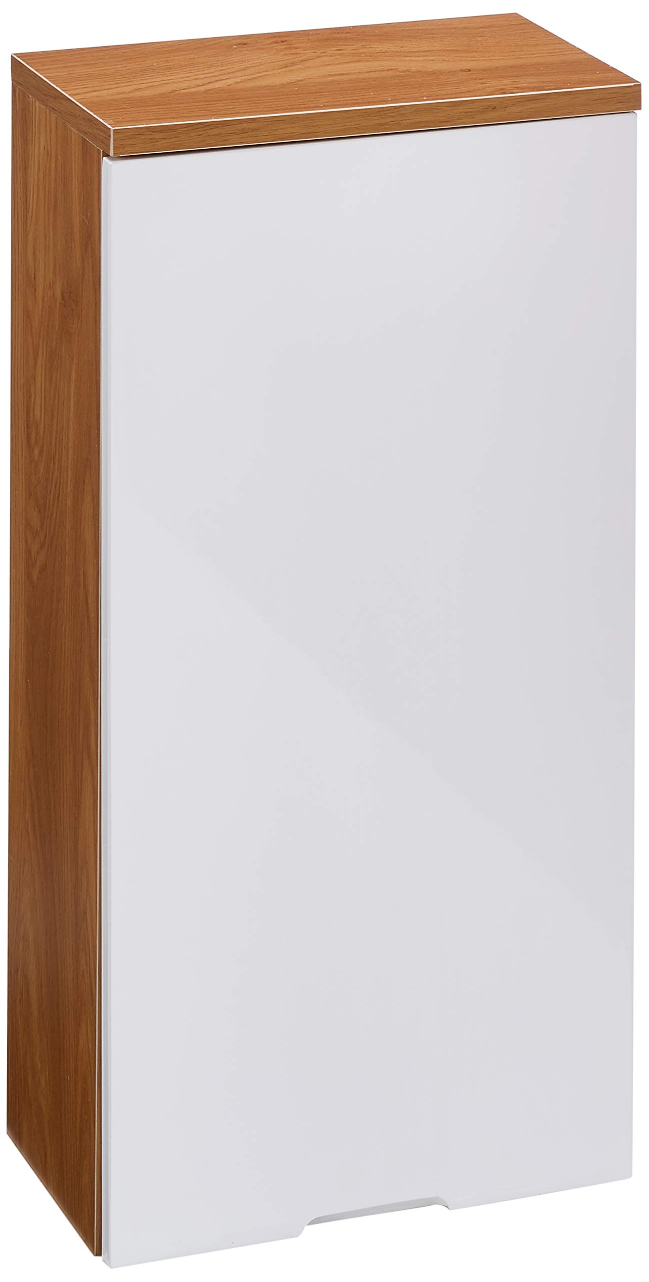 Premier Housewares 2403290 Armoire Murale avec 1 Porte Effet Chêne/Miroir