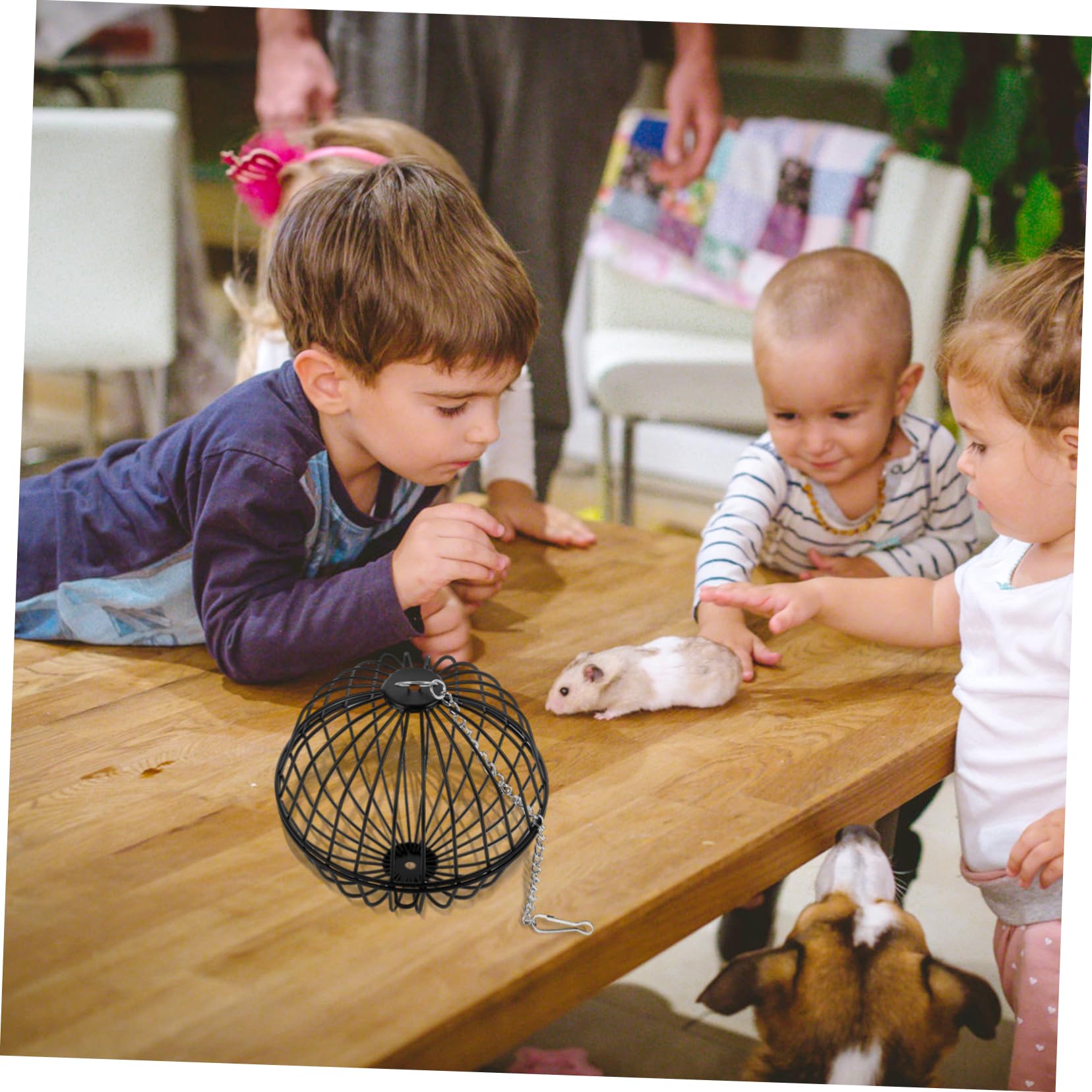 Milisten 2 Ensembles Nourrir Les Balles du Lanceur Râtelier À Foin Cage Boule De Foin pour Petits Animaux Foins Grille d'alimentation Auto Boule De Foin De Lapin Le Fer Black 3 Pièces * 2