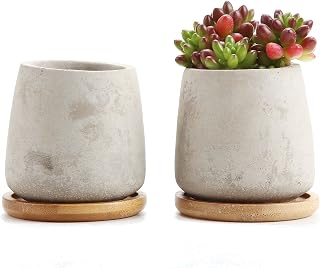 T4U 2.5 Inch Cement Serial Raised Sucuulent Cactus Plant Pots Flower Pots Planters Containers Window Boxes with Bamboo Tray Grey - Pack of 2