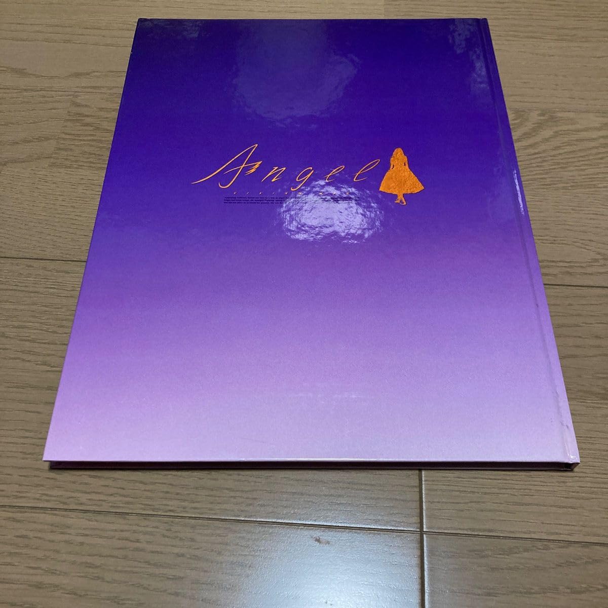 Amazon.co.jp: 写真集 ANGEL ビビアンスー : ドラッグストア