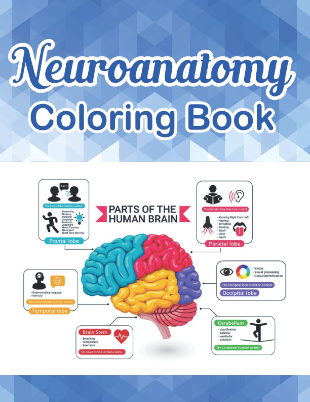 Neuroanatomy Coloring Book: Brain Art & Anatomy Workbook | Human Brain Model Anatomy, Human Brain Diagram, Human Brain Art, Human Brain Learning, ... for Neuroscience medical & nursing students Paperback