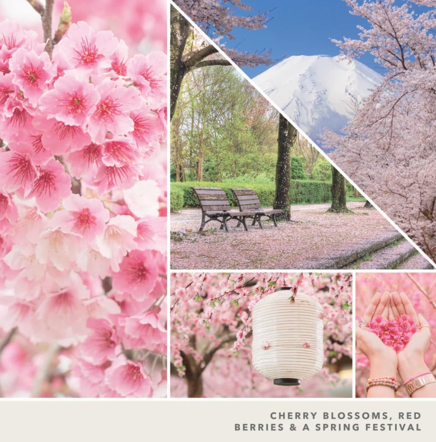 Yankee Candle Signature Votive Mini Candle Jars Blossoming Florals Variety Pack, 1 Lemon Lavender, 1 Wild Orchid, 1 Sakura Bloom Festival, 1 Lilac Blossoms Variety Pack