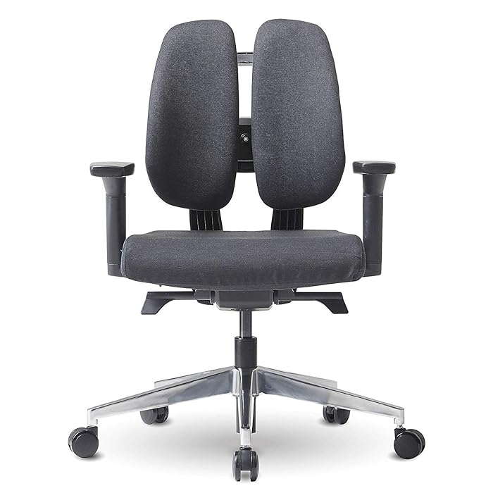 Buy 【DUOREST D2】 High Back Office Chair Office Chair for Bad Back