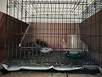 Review Image by Killian