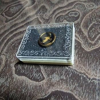 Amazon.co.jp: 鳥肌実グッズ4点セット(写真集悪の華バッジTシャツ Amazon.co.jp: 鳥肌実グッズ4点セット(写真集悪の華バッジTシャツ