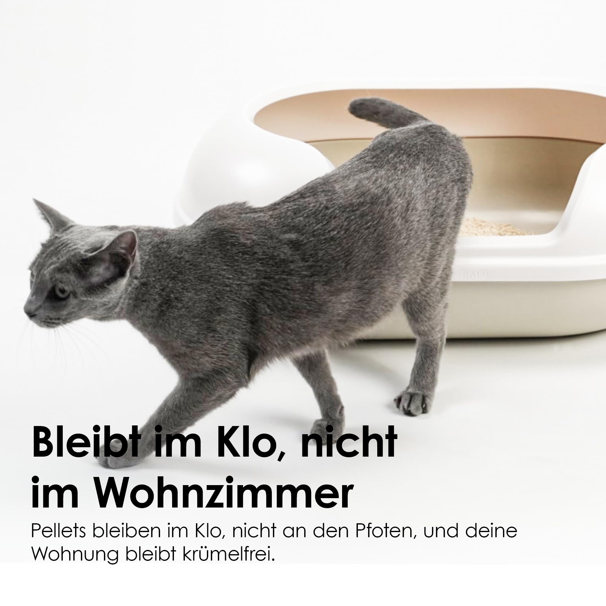 LucyBalu® TOFU Katzenstreu klumpend, staubarm, spülbar – Lavendel | Pflanzliche Streu, biologisch abbaubar, kein Streu im Haus, toilettenspülbar