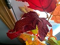 Review Image by J.R. J.R.