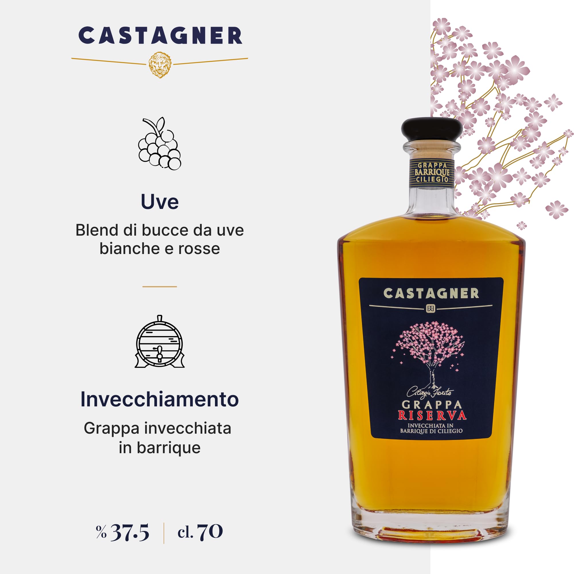 Castagner Grappa Riserva Kirschbarrique 37,5 % vol (1 x 70 cl)