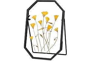 Pressed Flower Frame, Stunning and Unique Home Decor, Handmade with Metal and Glass, 4x6 inches