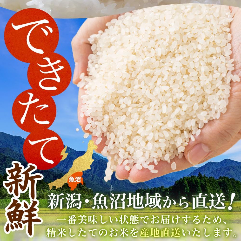 雄*一様 【新米】令和6年 新潟県 魚沼産コシヒカリ 10kg 【公式通販】