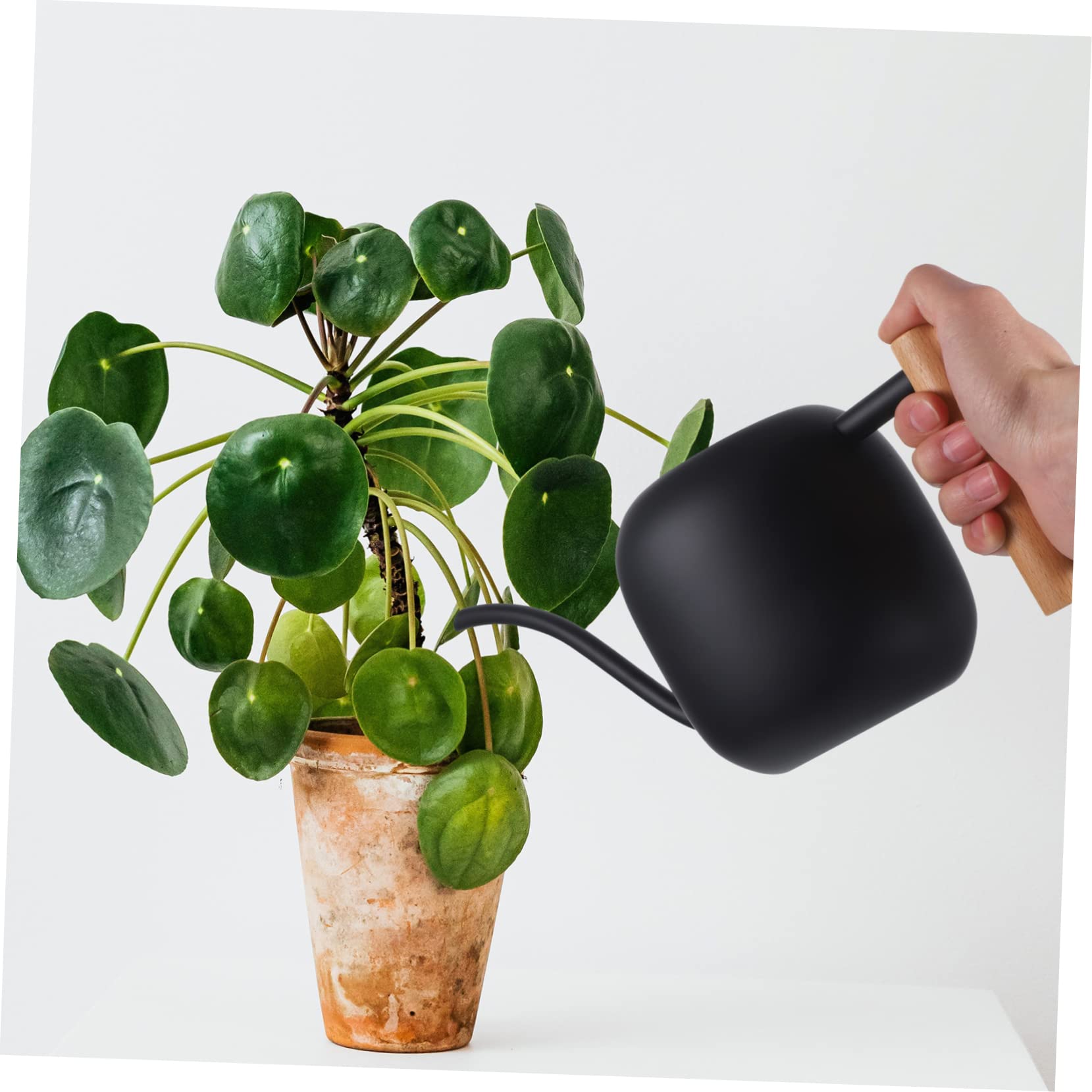 Annaffiatoio a Becco lungo 1,2 in Acciaio Inox Nero