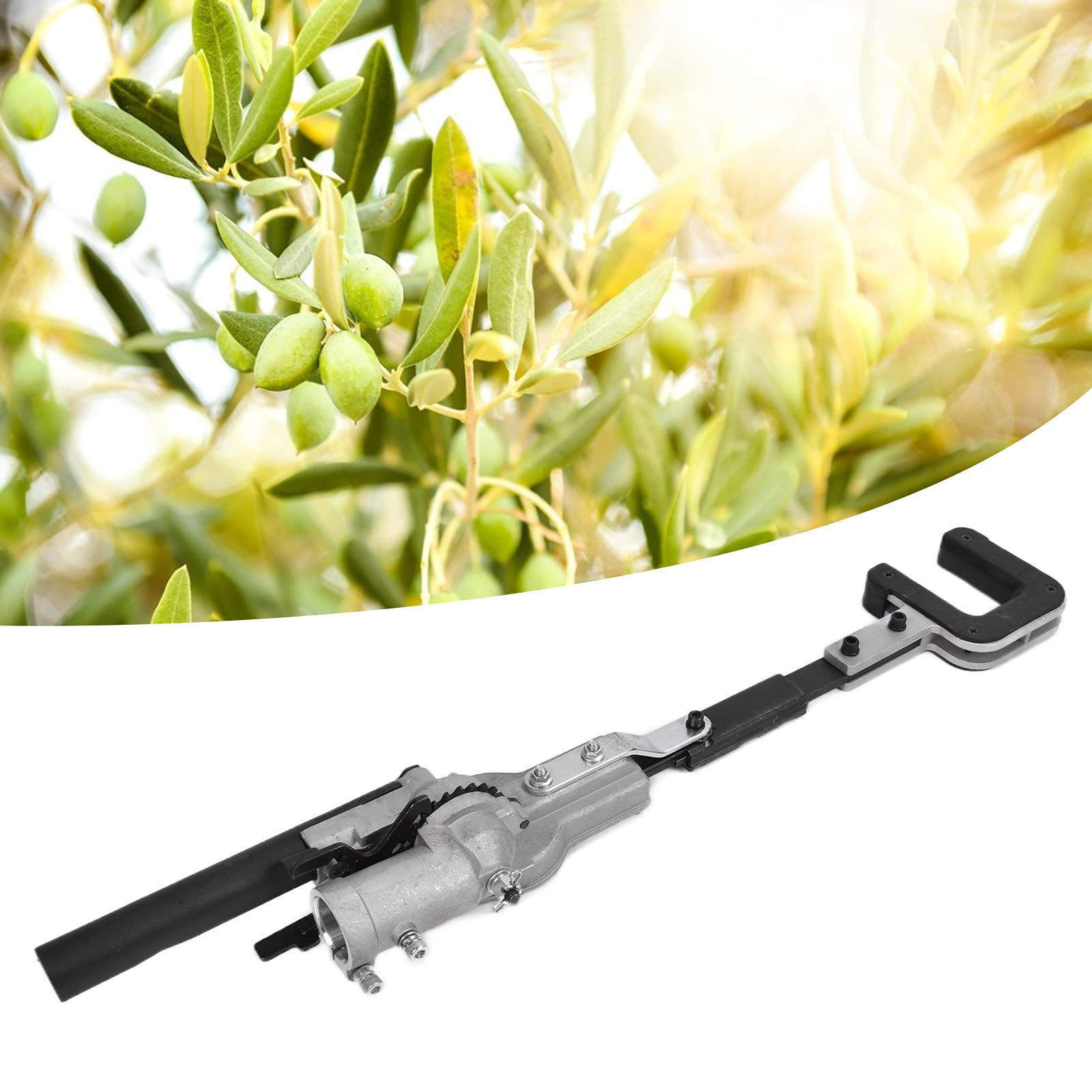 Tête de Cueilleur de Fruits 26 mm, Outil de Cueillette d'Olives 9 Dents, Pince de Jardin Aluminium 57,5 cm