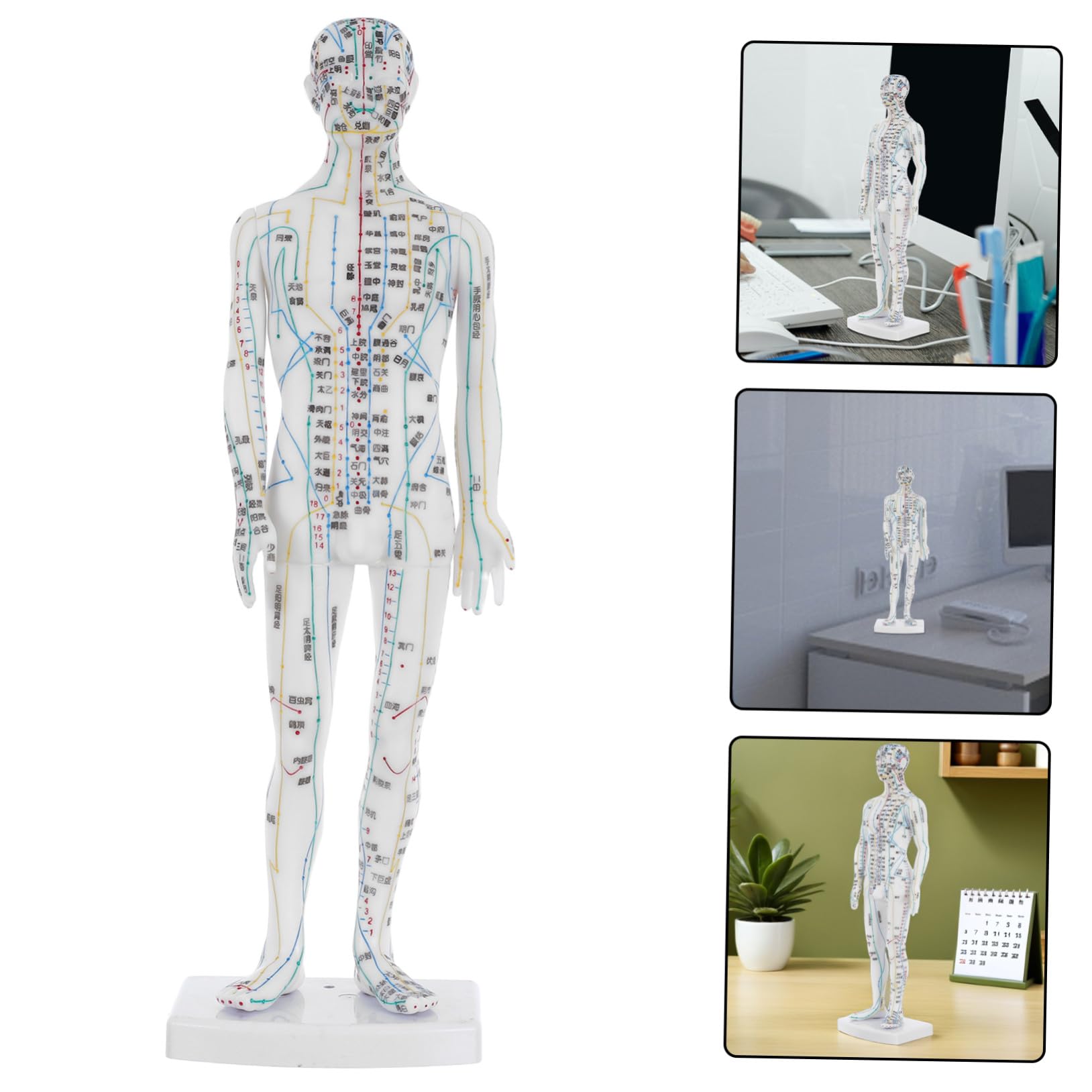 Manichino Meridiani Corpo Umano Bianco in Plastica per Agopunti | Aule Cliniche, Istruzioni Localizzazione, Supporto Gestione Salute, Professionisti, Operatori del Massaggio