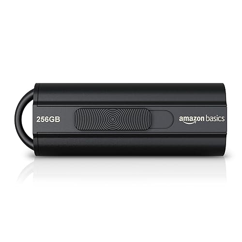 Amazon Basics 256GB Ultra Fast USB 3.1 High Capacity Flash Drive for Fast Data Transfer and Storage, Black - 256GB