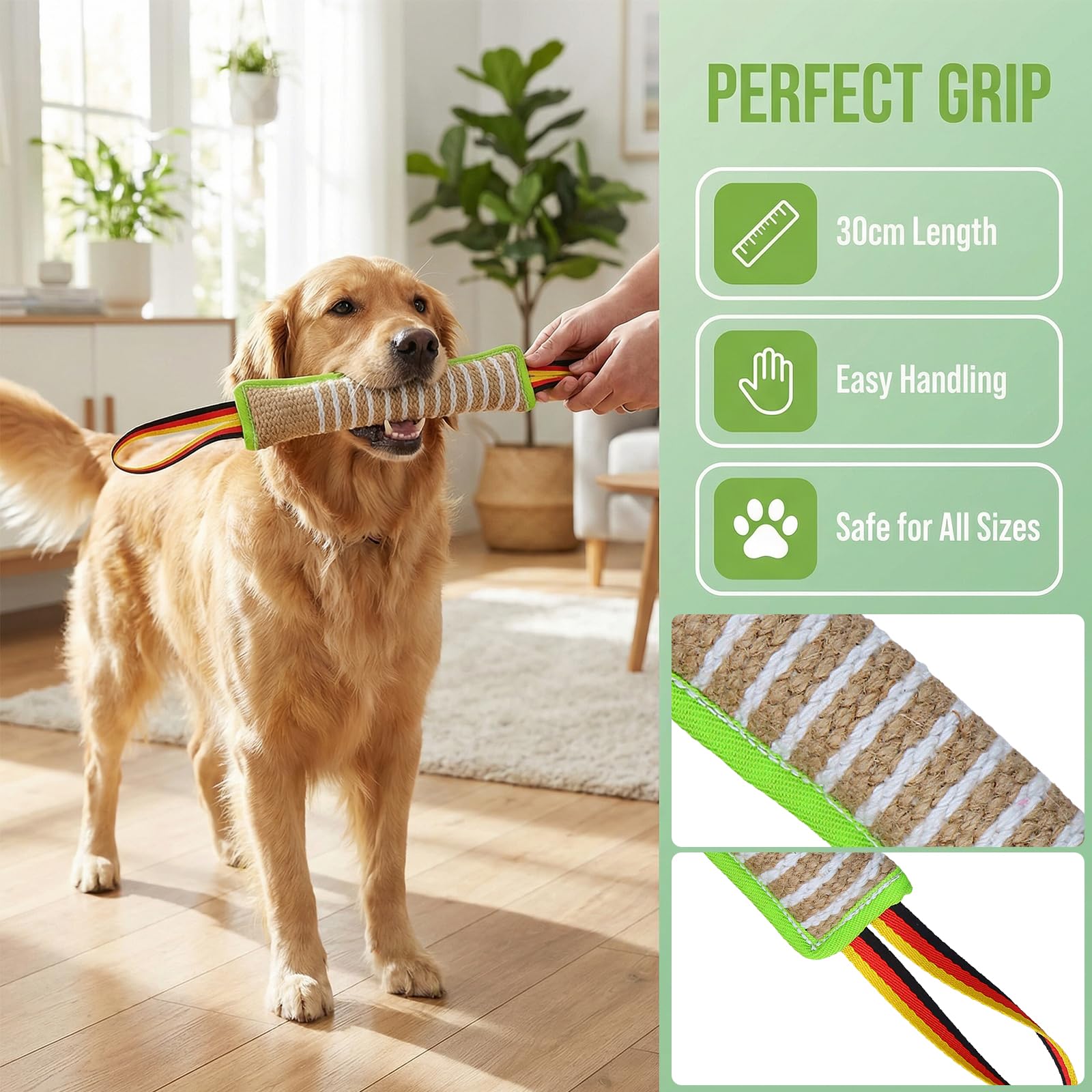 Giocattolo per Cani Manicotto 30cm 2 Maniglie Addestramento Gioco Morbido Cuscino Morso Interattivo Verde