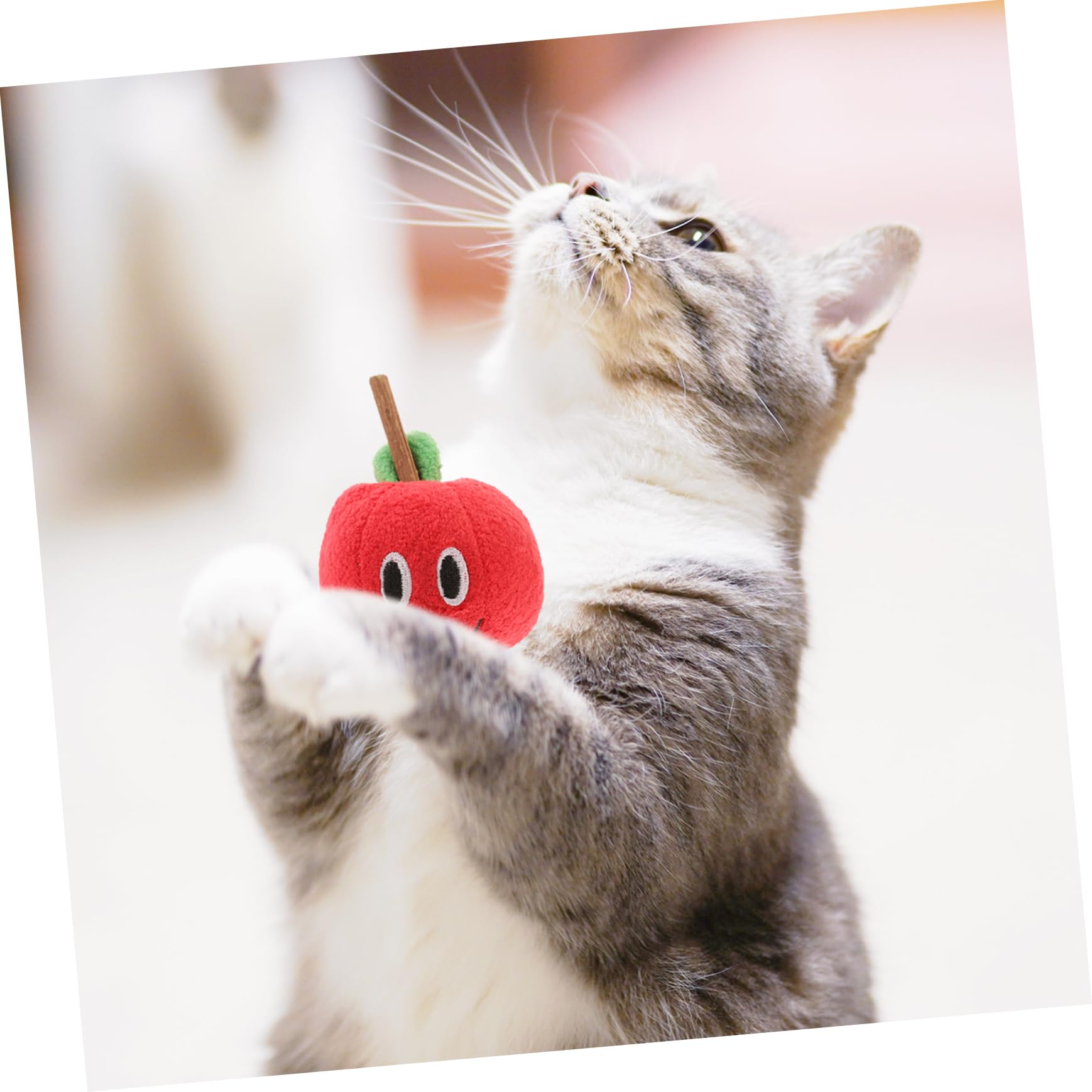 Happyyami Jouet pour Chat Silvervine de Fruit, Peluche Rouge | Actinidia Polygama, pour Chats, Lot de 1, Présent pour Amis Félin à Maison