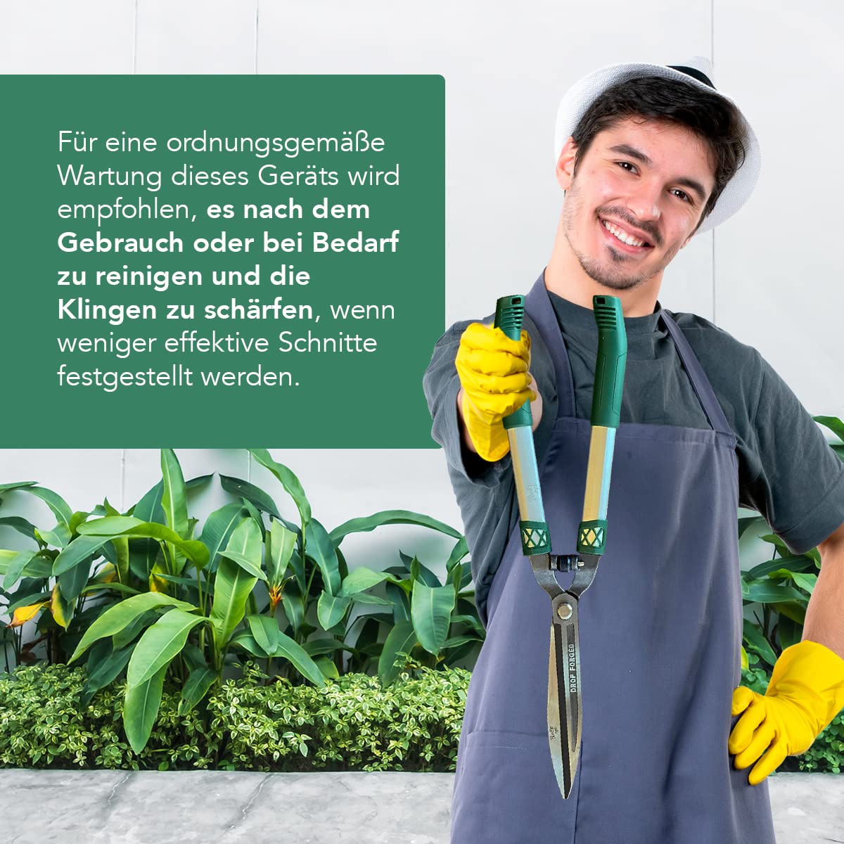 Beschneidschere für Details - Professionelles Gartenwerkzeug für Heckenschere, ideal für Pflanzen, Blumen, Garten und Gemüsegarten - max. 6 mm Schnitt mit Stoßdämpfern - Biotop