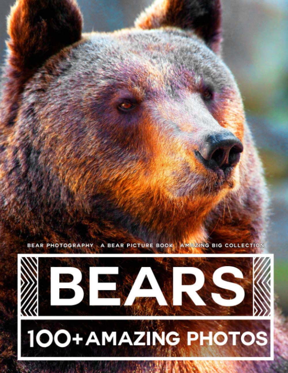 Bear Photography - A Bear Picture Book - Amazing Big Collection: 100+ Amazing Pictures of Bears in this Beautiful Bear photo book