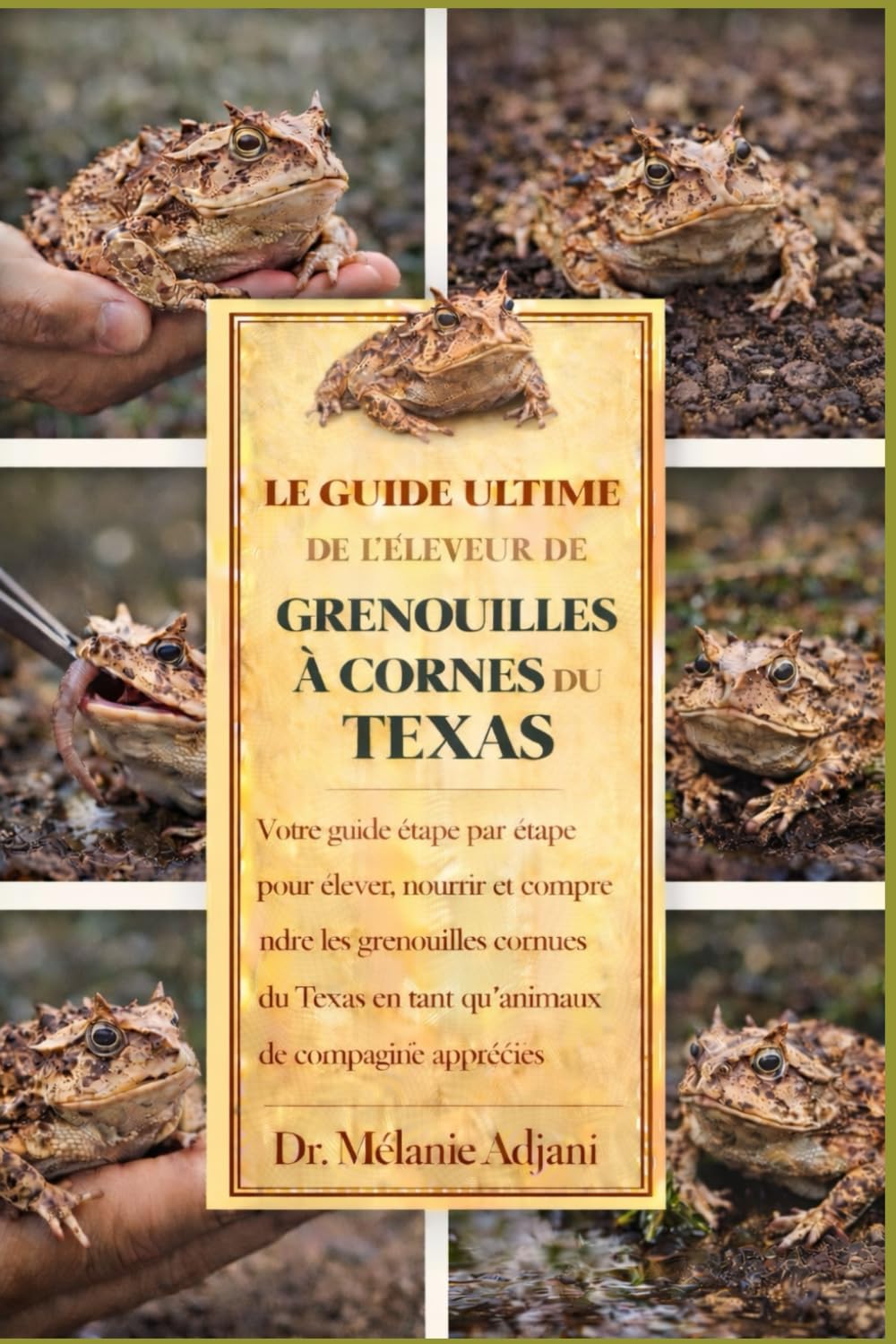 LE GUIDE ULTIME DE L'ÉLEVEUR DE GRENOUILLES À CORNES DU TEXAS: Votre guide étape par étape pour élever, nourrir et comprendre les grenouilles cornues du Texas en tant qu'animaux de compagnie appréciés