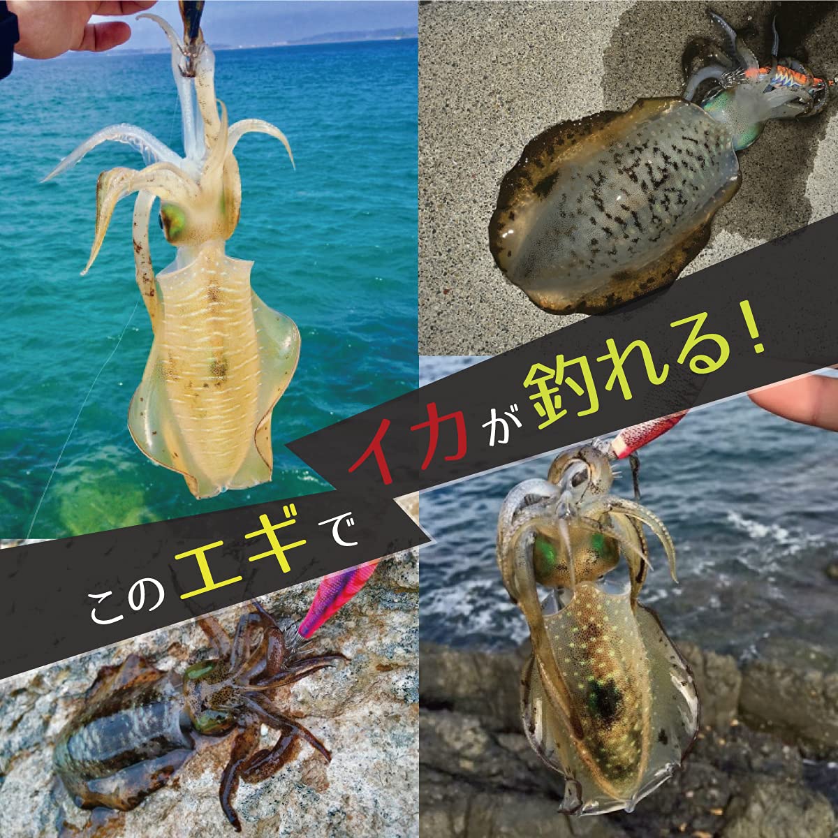 餌木セット　新品　19本 エギセットのおすすめ人気商品一覧 通販 - Yahoo!ショッピング