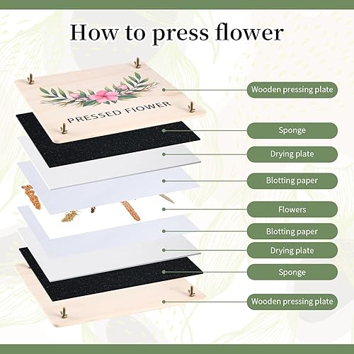 Miniatura 2 de MIDZH Prensa de flores extra grande, 10.8 x 10.8 pulgadas, kit de prensado de flores de madera de 4 capas, kit de preservación de flores prensadas