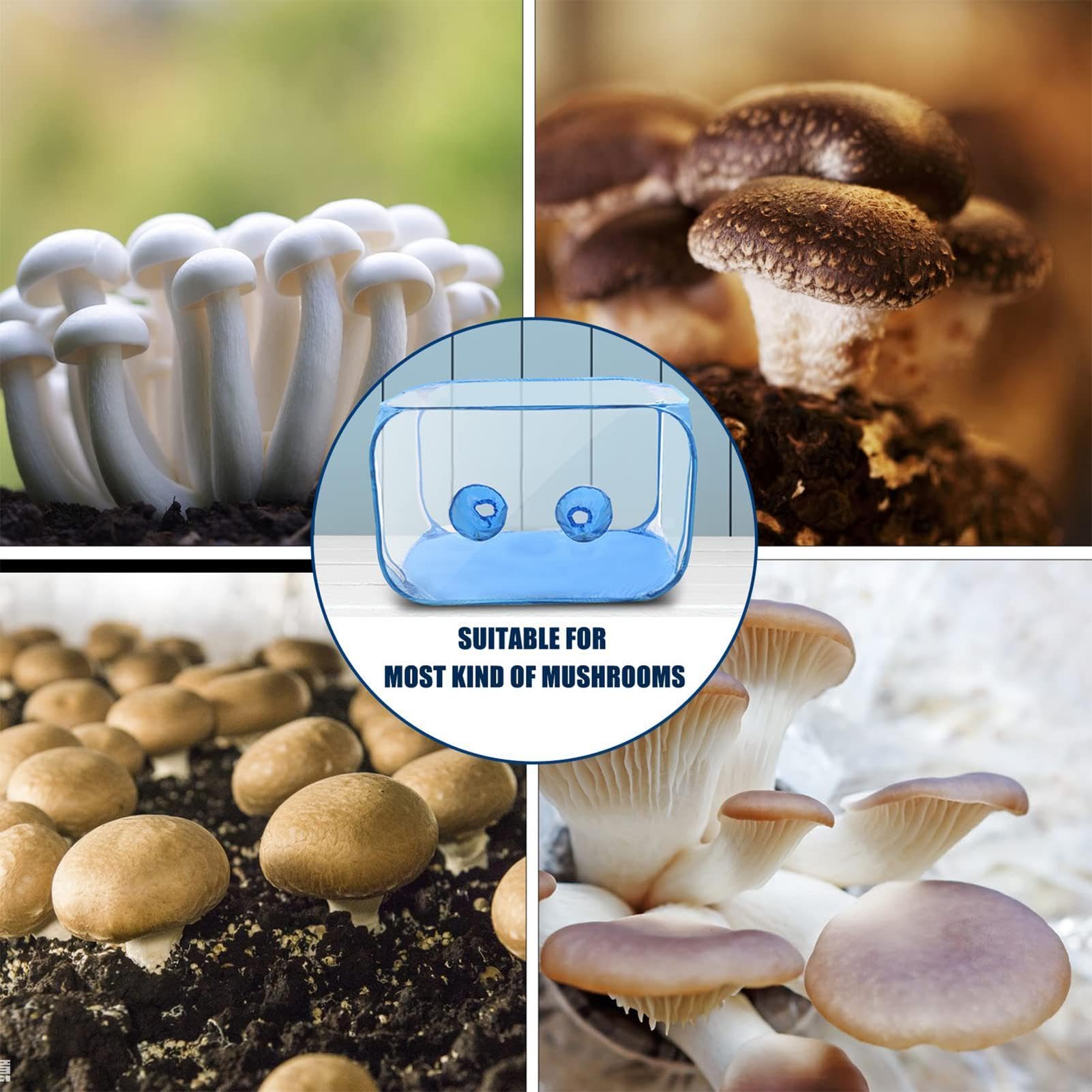 Tente de culture de champignons – Conteneur de culture de champignons, boîte à air stationnaire pour champignons | Conteneur de culture de champignons, kit de tente de culture de station de