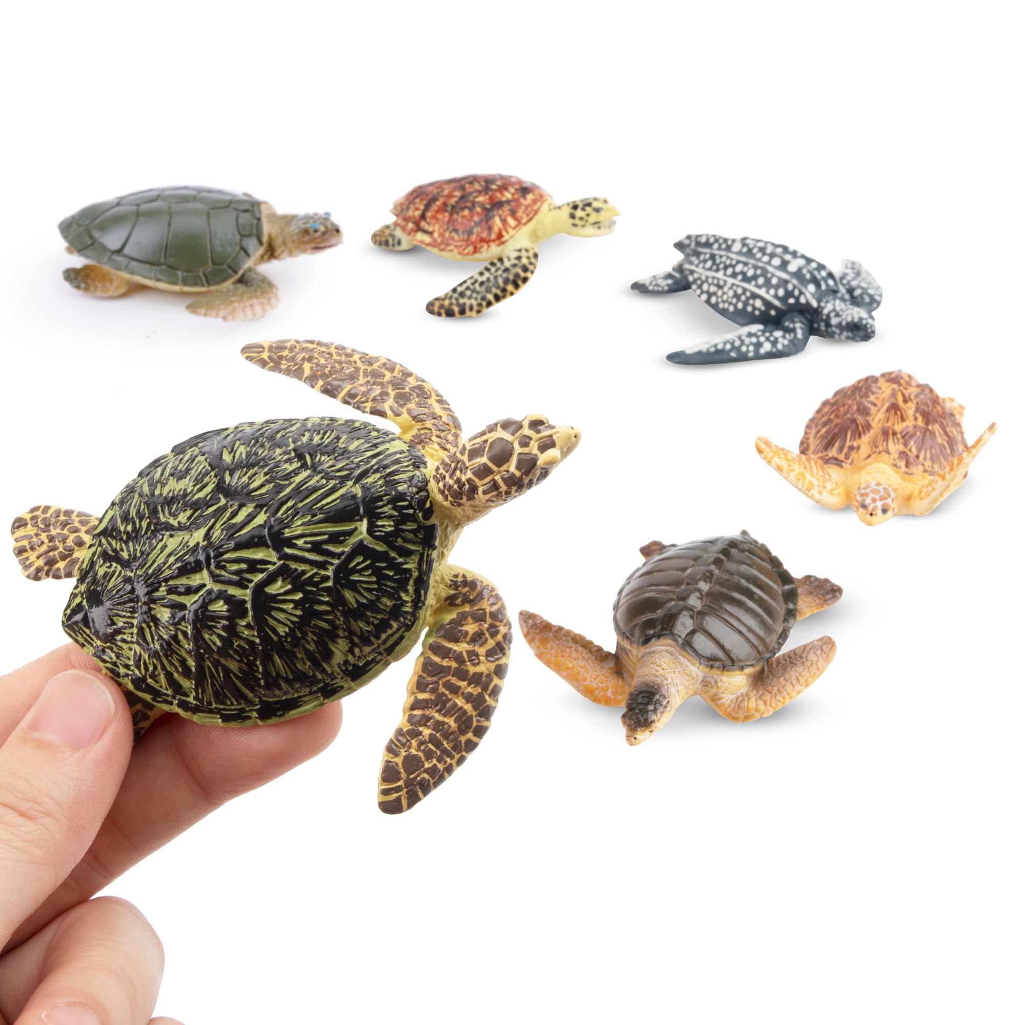 Toymany 6PCS Realistic Sea Turtle Figurines, Plastic Ocean Sea Animals Figures Set Includes of Turtles, Educational Toy Cake Toppers Christmas Birthday Gift for Kids Toddlers