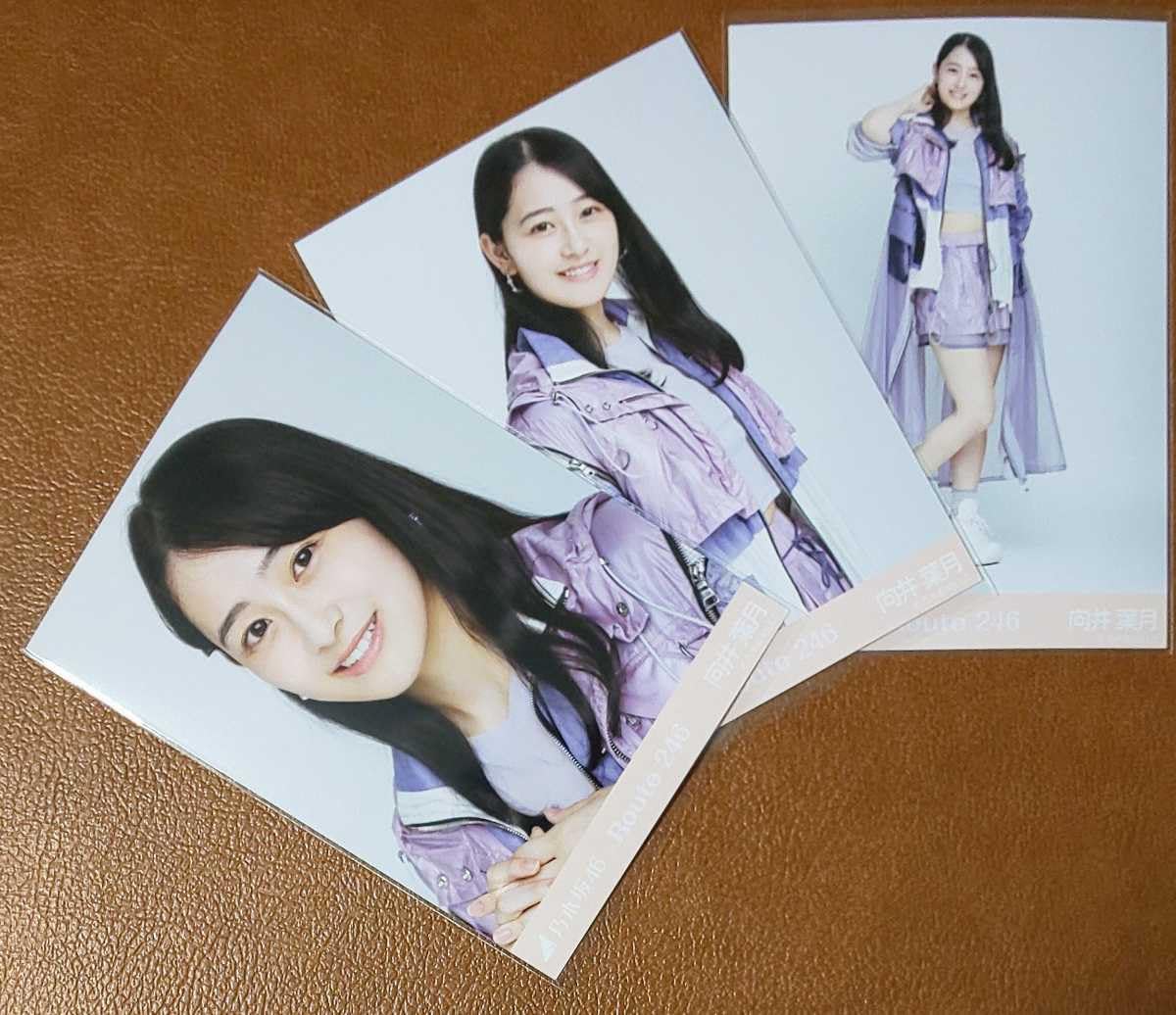 Amazon.co.jp: 乃木坂46 向井葉月 Route246 Web限定 生写真 3種 コンプ