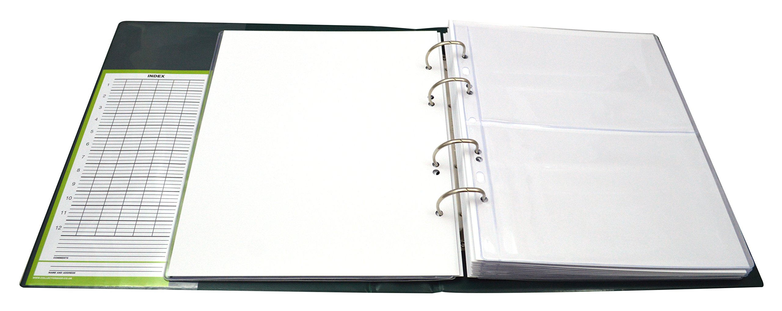 COLLECTOR - Album con custodia per banconote, 10 pagine e 10 divisori, capacità molto ampia (Verde)
