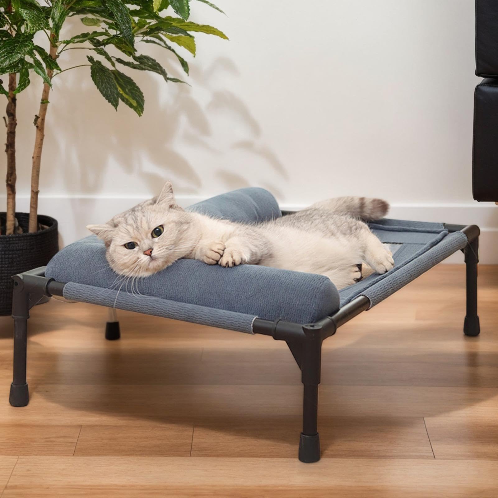 Cuccia Rialzata Per Cani Lettino Ammortizzato Elevato Traspirante Per Cani | Divano Per Animali Domestici Lavabile Per , Giocare, , Cuccioli, Anziani Gatti E Conigli Per Casa E Esterni
