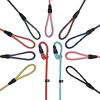 FOVRLZSE 11-Piece Adjustable Dog Slip Leads, 11 Colors - Collar-Free, Easy On/Off for Training & Walks