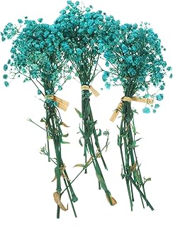 VINTORKY 3 Pacotes De Flores Secas Flores Naturais Galhos Secos De Vaso Centro De Mesa Flores Secas Enchimento Gypsophila Realista Mini Gypsophila Preservada Grama Flor Seca Casamento Bebê  