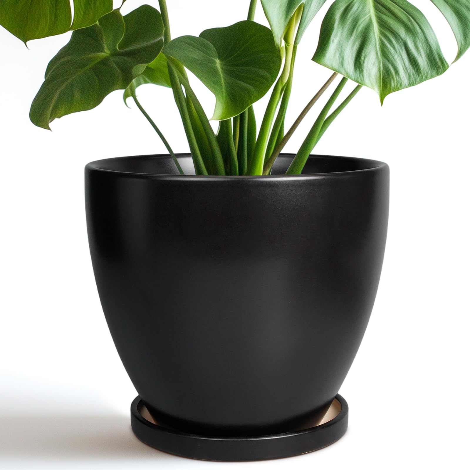 EPFamily 8 Inch Ceramic Plant Pot Black