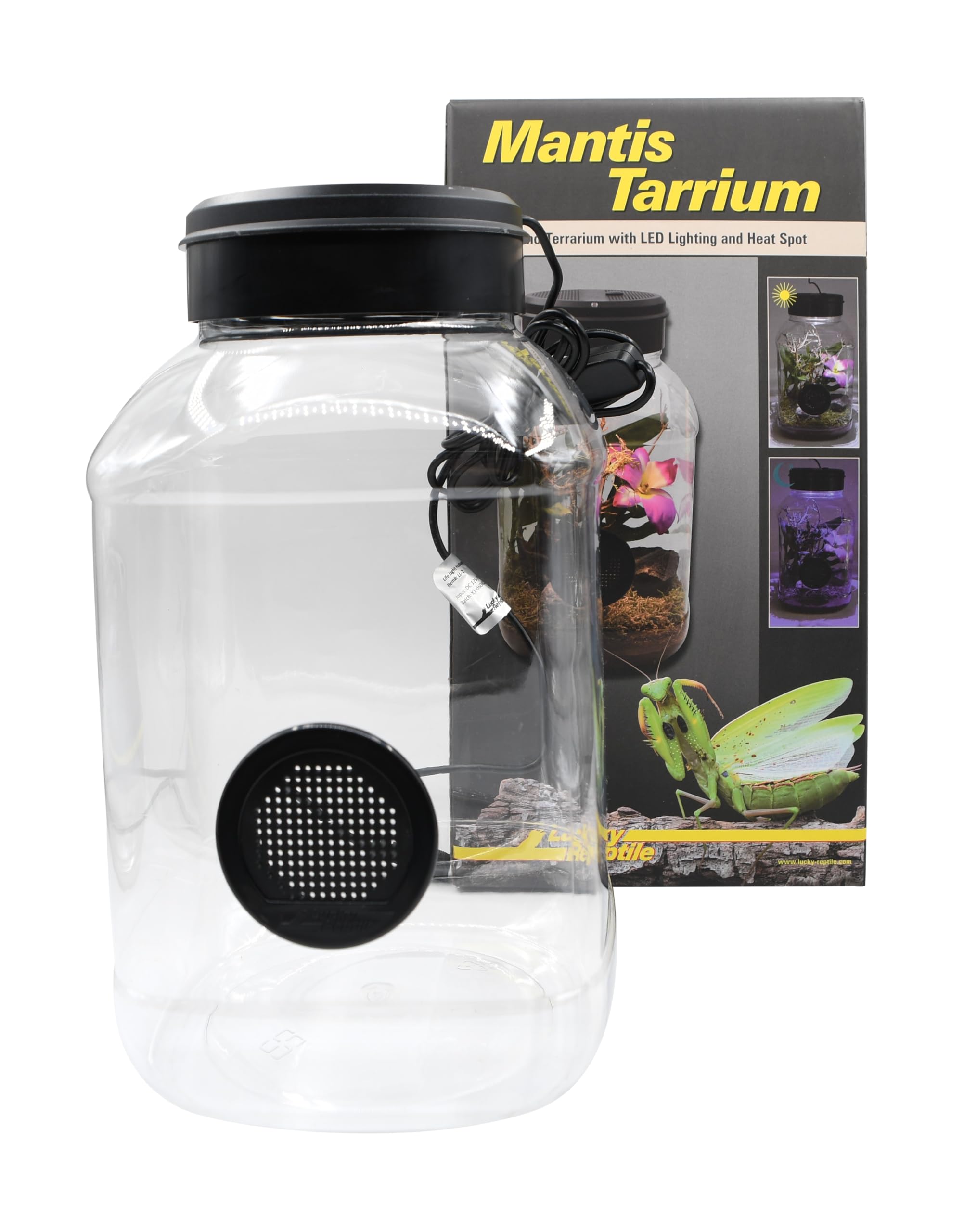 Lucky Reptile MantisTarrium