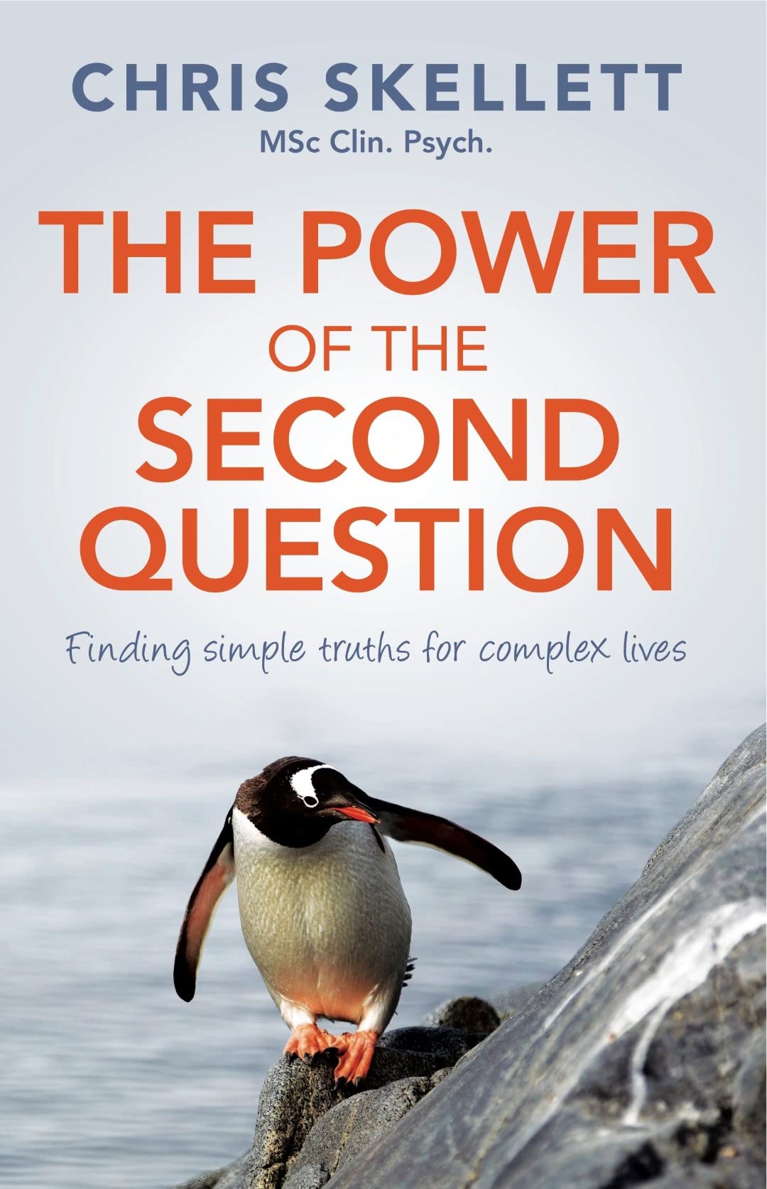 Power of the Second Question: Finding simple truths for complex lives