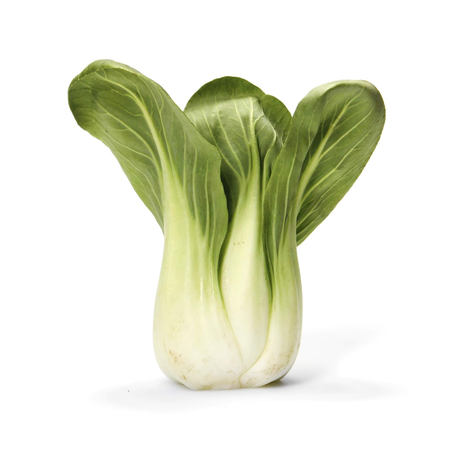Baby Bok Choy
