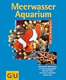 meerwasseraquarium fische springen raus  Meerwasseraquarium. Faszinierende Riffbewohner. Im richtig ausgestatteten Aquarium fühlen sich Fische und Korallen rundum wohl