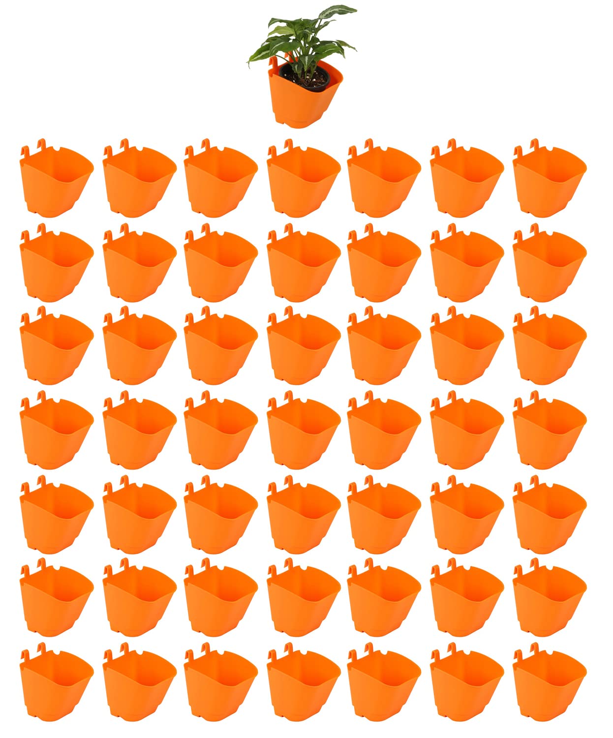 CAPPL Vertical Garden Wall Hanging Pot (Standard, Orange) - 50 Pieces (B01EOWQZE4) Amazon Price History, Amazon Price Tracker