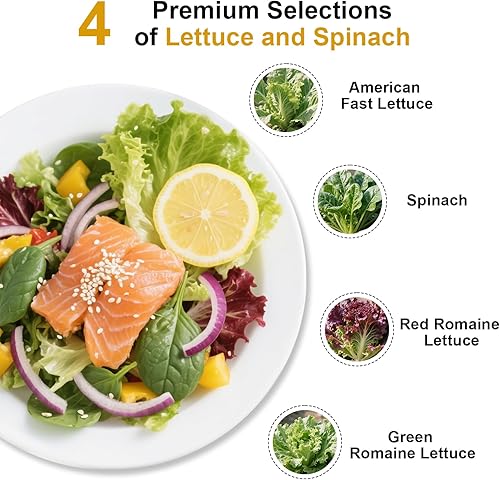 Miniatura 3 de Kit de cápsulas de semillas para ensalada César para AeroGarden, idoo, Ahopegarden, MUFGA con lechuga romana verde, lechuga romana roja, espinacas y