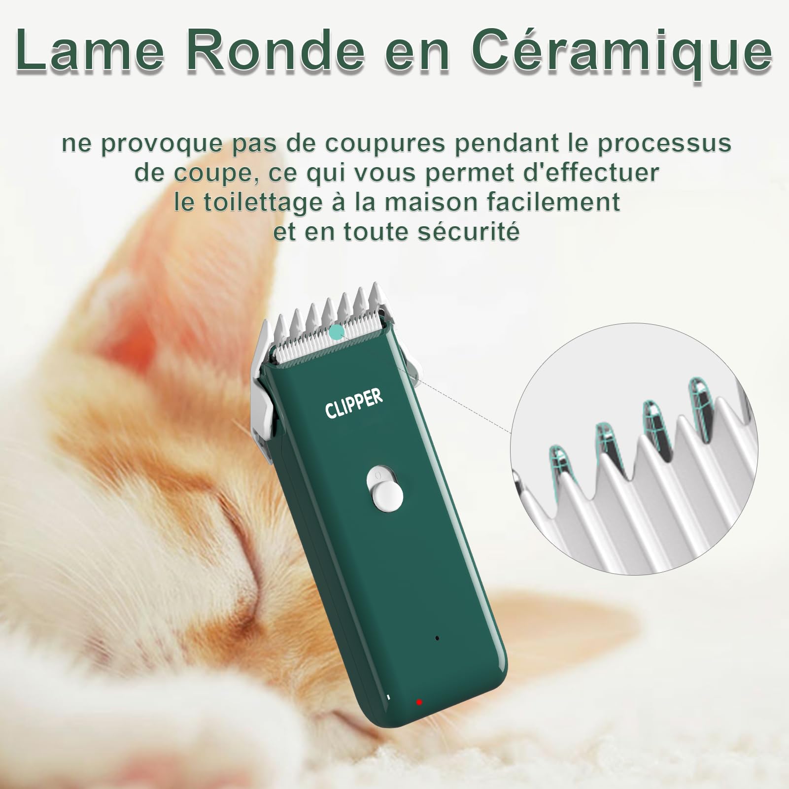 Tondeuse à cheveux professionnelle pour chien silencieuse avec lame en céramique, étanche IPX7 Vert
