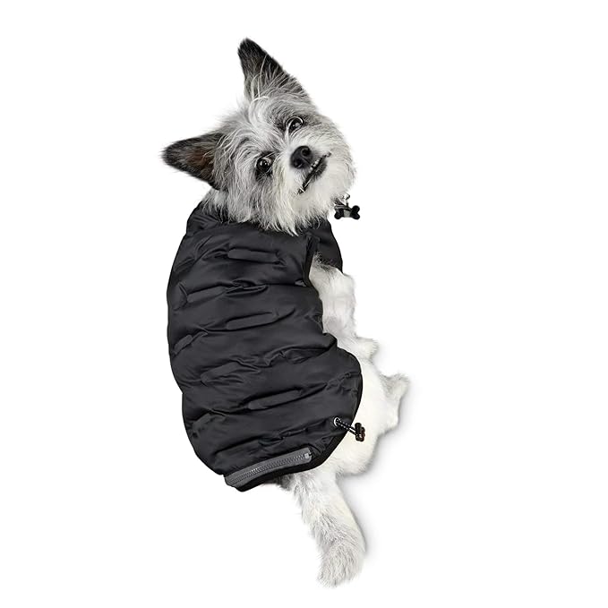 reddy dog puffer jacket