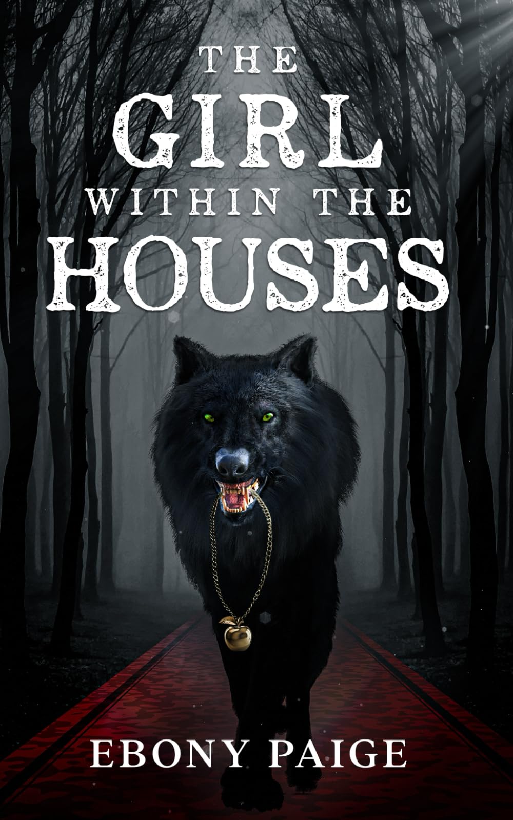 The Girl Within the Houses: A Within Tale: 2 (The Within Series)