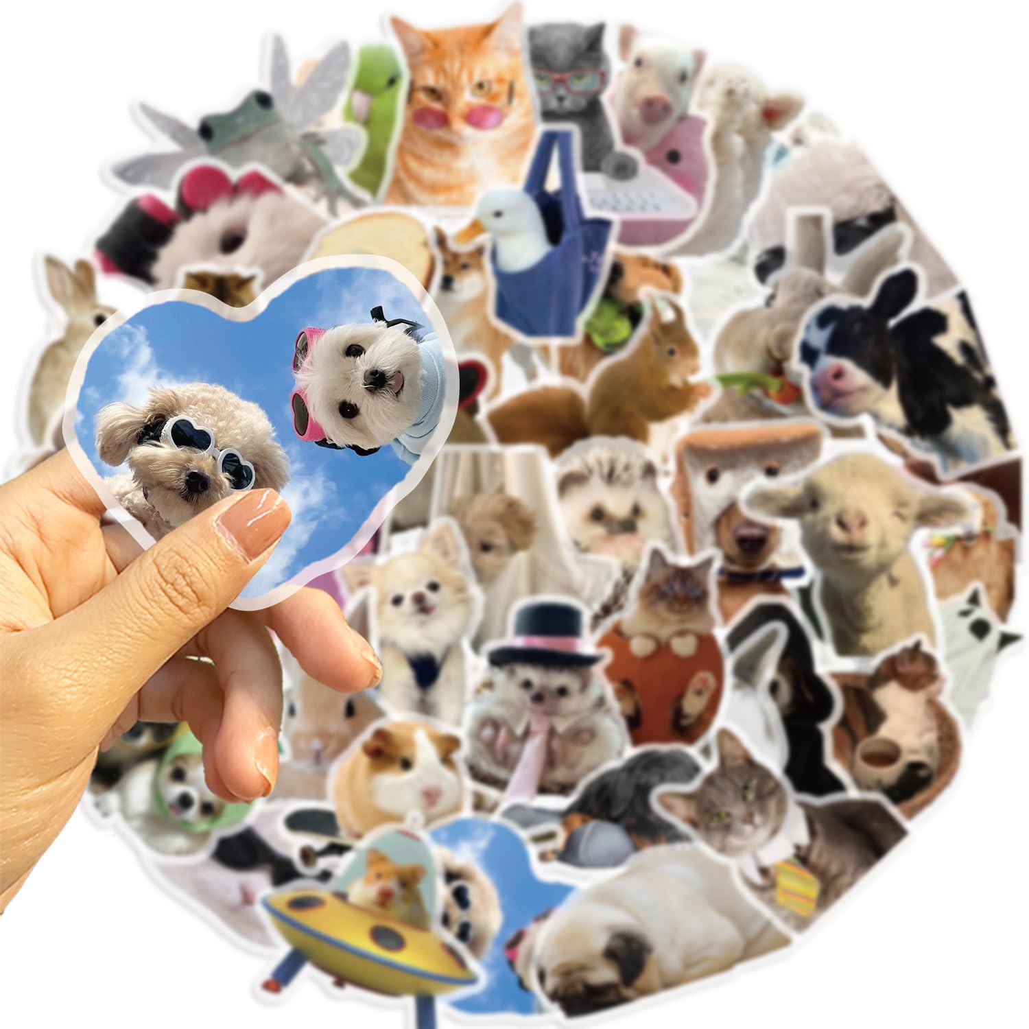Tuyatezhi Girls Meme 50 Pcs Stickers For Kid Teens Boys Adults, Cat And Dog Stickers For Laptop,Water Bottles,Bicycle,Skateboard,Computer,Waterproof Vinyl For Wall,Graffiti Stickers Pack