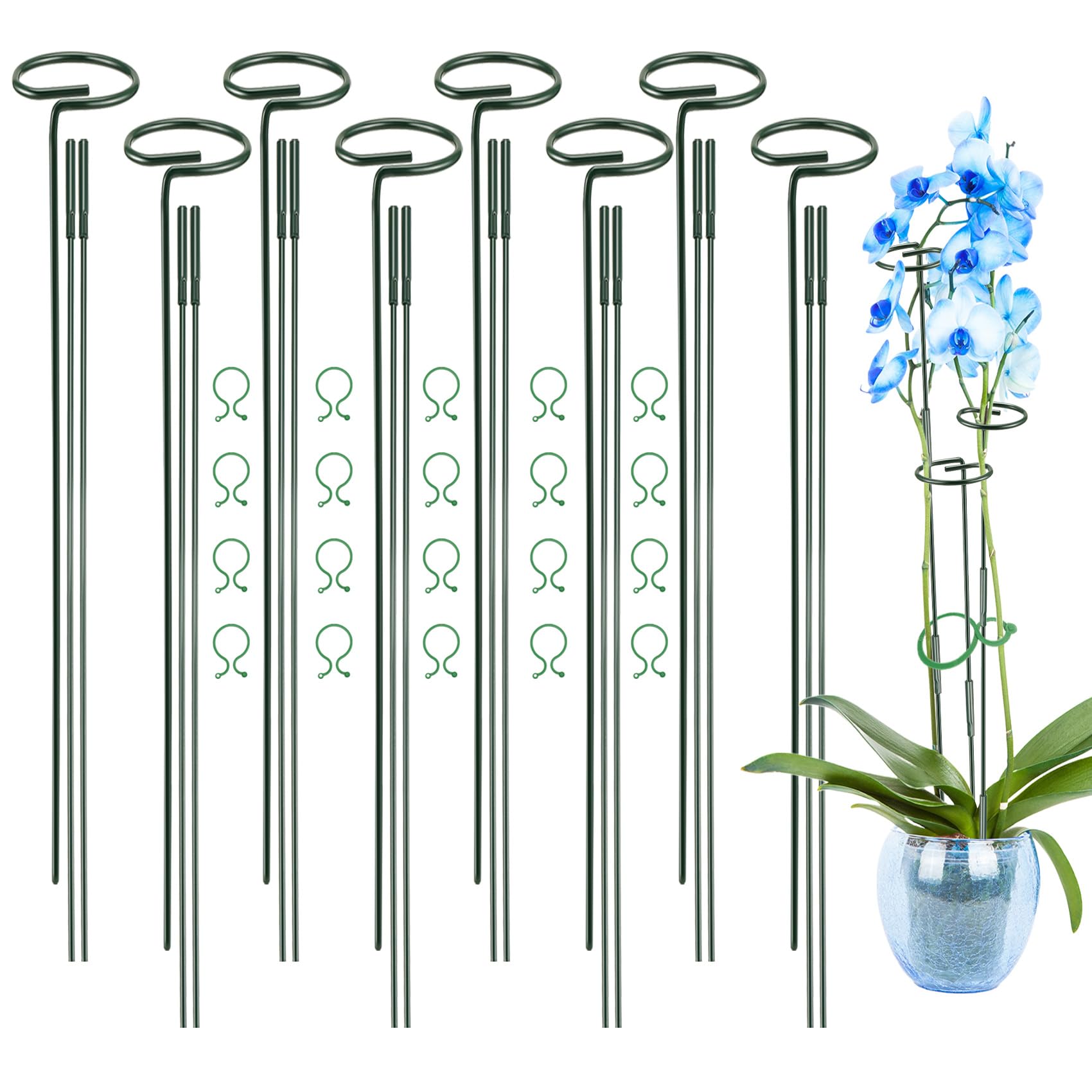 Piquets de support plantes pour un jardin de pivoines et roses
