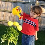 TOYANDONA 2Pcs Watering Cans for Kids Sand and Beach Toy Bath Watering Gardening Practical Use Toy