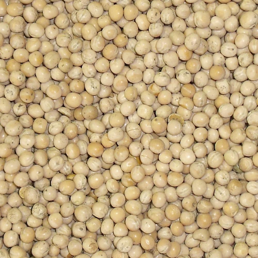 Bamfords Top Flight White Peas 20kg - High Protein Racing Pigeon Food/Fishing Bait