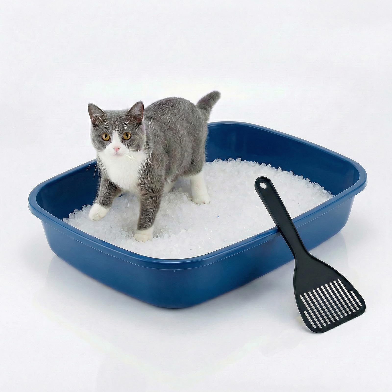 Animal House Katzenklo ohne Rand, Offene Katzentoilette mit Schaufel inklusive, Größe M 37x27x8,5 cm, Katzentoilette aus Kunststoff, Praktisch und Hygienisch
