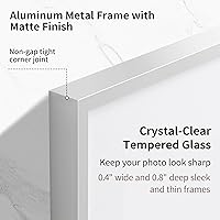 Vista 44 de Fun Memories Portarretratos de metal de 16 x 20 pulgadas con paspartú de 11 x 14 pulgadas, acabado de aluminio cepillado, parte delantera de vidrio